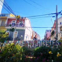 Coco__________ (@coc0___1) 's Twitter Profile