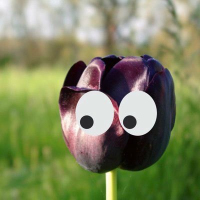 まるばさんのプロフィール画像