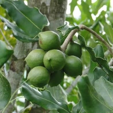 GEORGEMTANZA's profile picture. Nothing