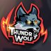 ThundrWolf (@ThundrWolf__) Twitter profile photo