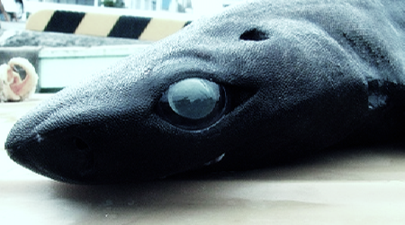 nonflyfish's profile picture. 食べても美味しくないと思います。
ミステリ、SF、映画が好きです。