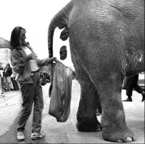 poo_problems's profile picture. Sometimes you just gotta go.