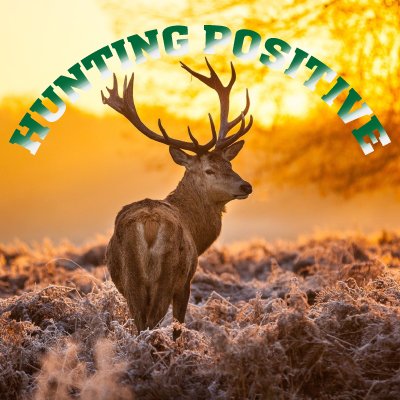 Hunting Positive is Hunting related page. Here we discuse about hunting and fishing. Lets go ......