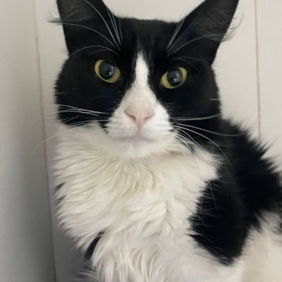 madalenacarpa's profile picture. Aposentada, Petista, Lulista, dilmista convicta, colorada, avo, bisavo.#LULALIVRE!