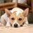 Twitter result for Next Bathrooms from CRE_AttorneyGuy