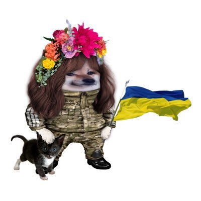 🇬🇧🇺🇦🐈🐈‍ #WeAreNAFO #NAFOfellas  @1team1fight_org @UkraineAidOps @Georgian_legion @tipofthespear42 #NAFOCatsBrigade #StandWithUkraine #VPDFO #BFF4UA