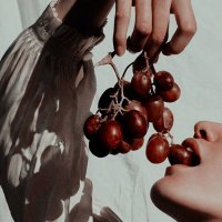 fauve (@fauvereads) 's Twitter Profile