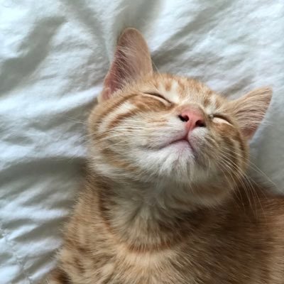 Omgitsevelyn's profile picture. Close your eyes and see the beauty