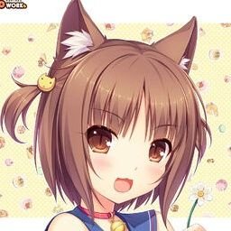 BashfulMunchkin's profile picture. 𝘛𝘩𝘦 𝘰𝘭𝘥𝘦𝘴𝘵 𝘰𝘧 𝘵𝘩𝘦 𝘔𝘪𝘯𝘢𝘥𝘶𝘬𝘪 𝘤𝘢𝘵 𝘨𝘪𝘳𝘭𝘴, 𝘱𝘭𝘦𝘢𝘴𝘦 𝘥𝘰𝘯'𝘵 𝘮𝘦𝘯𝘵𝘪𝘰𝘯 𝘩𝘦𝘳 𝘩𝘦𝘪𝘨𝘩𝘵. | Parody ❤️ @_L0veAndCoco