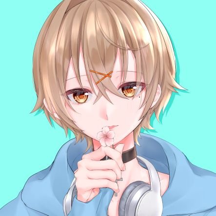 あめさんのプロフィール画像