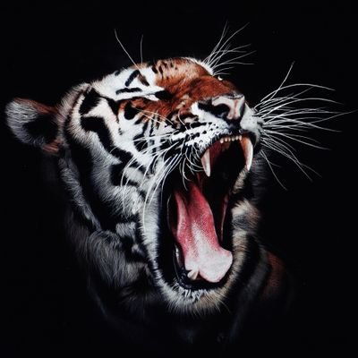 as_theLegacy's profile picture. Belive in yourself.