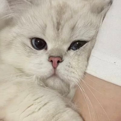 abracadaabra5's profile picture. It's time to be happy.