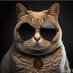 Jason (@jason420btc) Twitter profile photo Jason (@jason420btc) Twitter profile photo