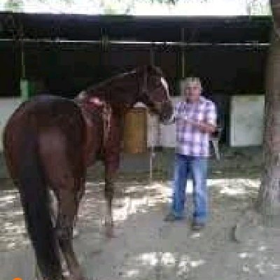 Simntemplao1's profile picture. Soy brazos de amante, piernas de calle y ojos de hielo