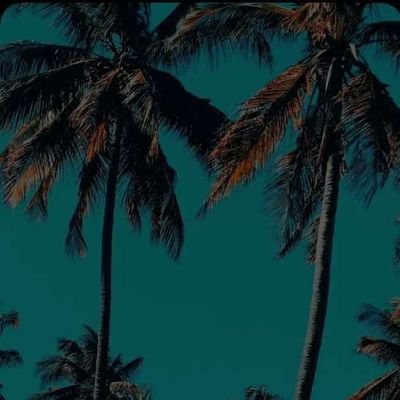 JrMngazja's profile picture. .