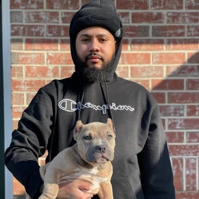 Dinero Dynasty Bullies 🐾 Red Rose Kennels 🌹American Bullies & Exotic Bullies enthusiast | Shot By Dinero Visuals 📸