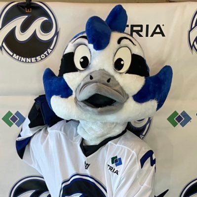 Hi! I’m Rollie, mascot for the Minnesota Whitecaps of the Premier Hockey Federation!