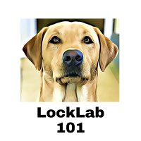 LockLab101(@Lab101Lock) 's Twitter Profile Photo