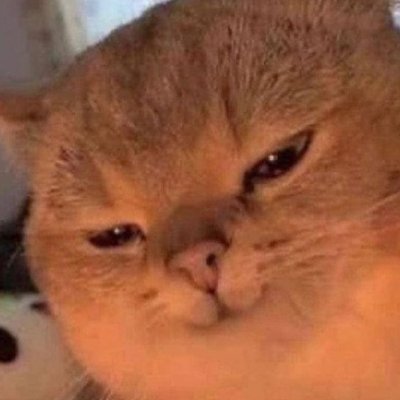 DerSuffix's profile picture. he/him