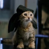 MelinatedGlow (@m3linatedglow) 's Twitter Profile