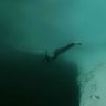 anthrupad's profile picture. somewhere deep, something lurks