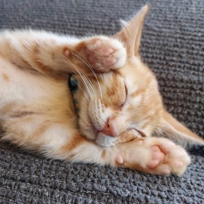 OCSJ/Oracle Consulting Service Japan/ERP/SCM/EPM/Oracle Cloud/EBS/Consultant/Saas/Best practice/Startup/Game changer/Please feel free to follow.