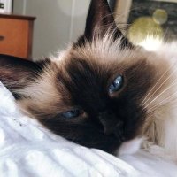 Queen LaTIVA (@queen_la_tiva) 's Twitter Profile Photo