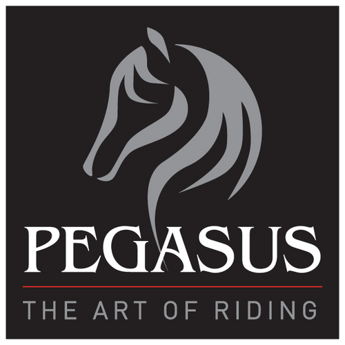 Brand new lifestyle magazine for the Equestrian world. For those who enjoy the luxury lifestyle & the equestrian world.