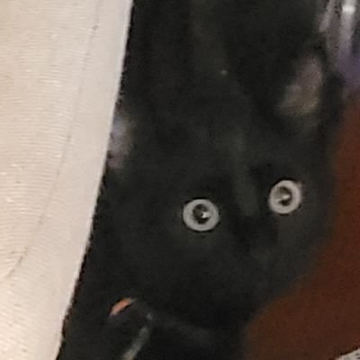 Samiさんのプロフィール画像