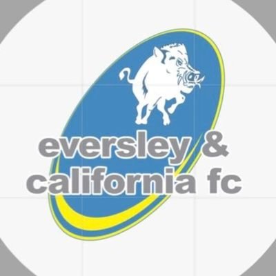 Eversley & California Womens FC ⚽️ | 1st Team coverage | Playing in @SthRgnWFL Div 1 North |  Reserves: @eversley_ladies