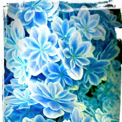 shii_panda's profile picture. ウェブフリ受講中。いろんな人と出会いたい！！
「時間とお金に縛られない生活を手に入れる！！」
目標は貪欲に！！