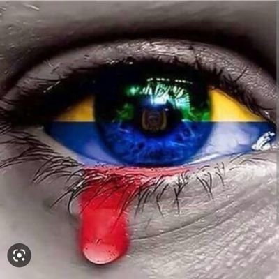 PatolinLeon's profile picture. Ing. en Sistemas, Desarrollador de Aplicaciones Web y móviles.Analista Genexus.