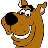 Tshort63's profile picture. Passionate learner Curious about everything Bias against none Idiot Savant your challenge is to figure out which is which I honestly don't know A mistake pro