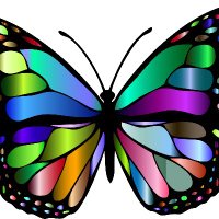 usedtobgop (@usedtobgop) 's Twitter Profile