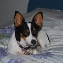 Aldo Di mauro - @idrogas - Twitter