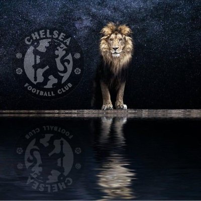 Brazil2017_Rap's profile picture. 