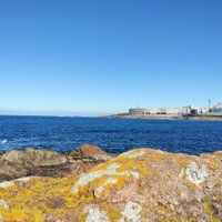 daagradorzán 🍍🍊 (@marcovilasante) 's Twitter Profile