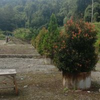 welpena AgAy (@yunustabuni1) 's Twitter Profile