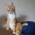 🐾Chance🐾&🌈Tigger🌈 (@evilmonkeymama1) Twitter profile photo 🐾Chance🐾&🌈Tigger🌈 (@evilmonkeymama1) Twitter profile photo