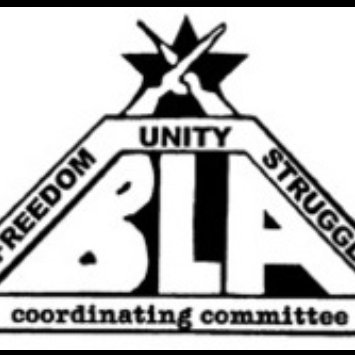 They/Them. Black Trans/Queer Disabled person interested in building communities rooted in Transformative Justice and Black Liberation.