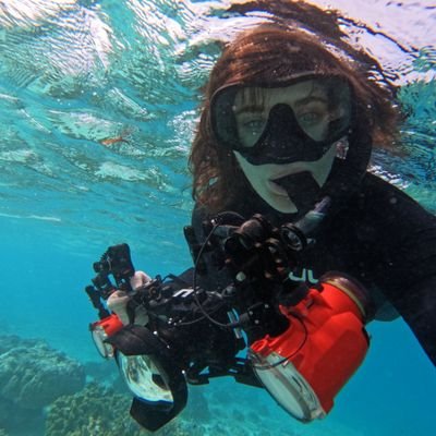 BBC NHU Researcher 🐟
Underwater Photographer 🐠
Marine Biology & Coastal Ecology BSc 🦀
Founder of @SpurwatchUK 🦈