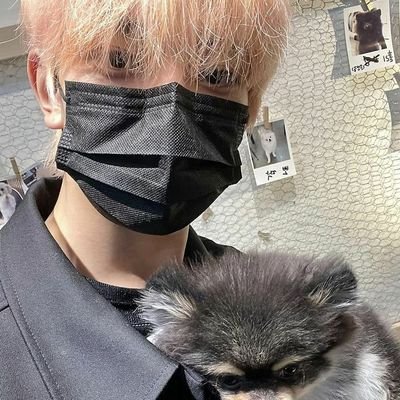 w e l c o m e ♡
— — — — ˗ˋ ୨୧ ˊ˗ — — — —
૮₍˶ •. • ⑅₎ა ♡ kyy ⌗ °. ♡ ꒰⸝⸝ she/her ꒱.
🖇️ multi stan