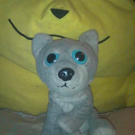 hi my name is cute baby folf and I am 34 in real life yes I am a real life furry I have autism and I love making new friends and I hope we can be friends