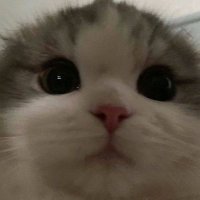 hggg (@xusnso) 's Twitter Profile