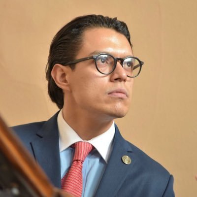 Abogado, Maestro en Gerencia Pública y Política Social, Columnista y Asesor Parlamentario en el Congreso de la Unión.