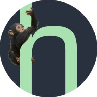 handle.fi (42,🦍) 🟨🦇🔊 (@handle_fi) 's Twitter Profile