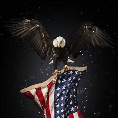 ForLifeLiberty1 Profile Picture