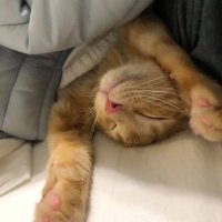 Mokana (@mokanam) 's Twitter Profile