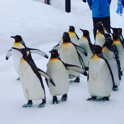 KabeuchiSenyou's profile picture. 遥か昔に成人済
演劇用垢/観劇はマチネ
松田凌さん推し
無言フォロー、無言rt、やたらといいね♥ 本当にすみません😩