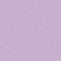 BL_yaoiL's profile picture. 🫐